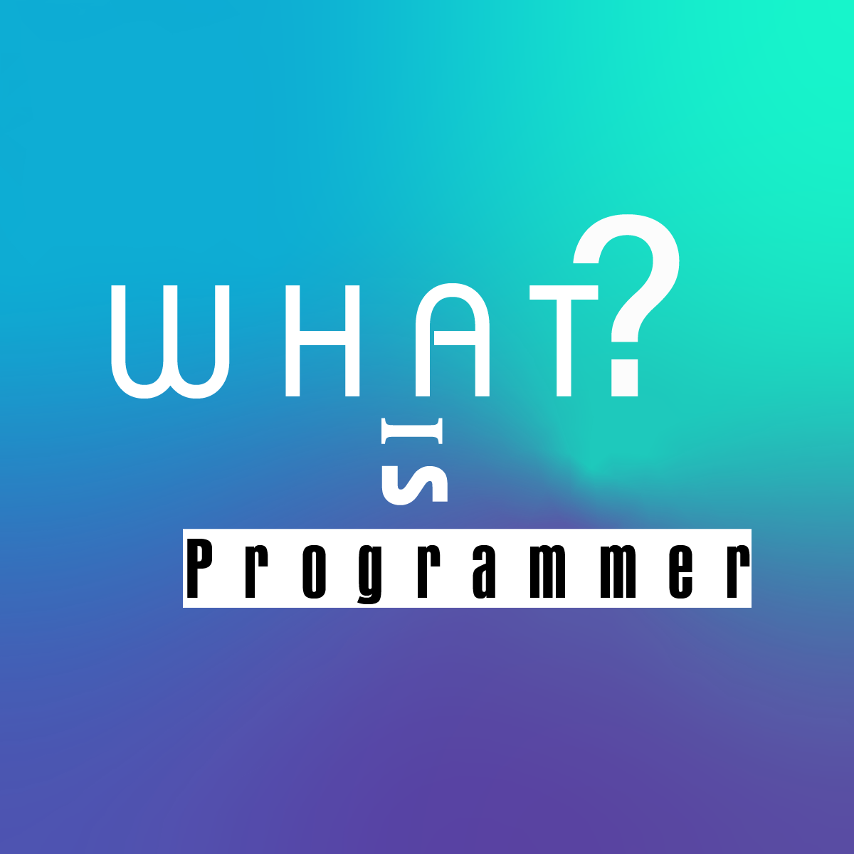 What is Programmer?